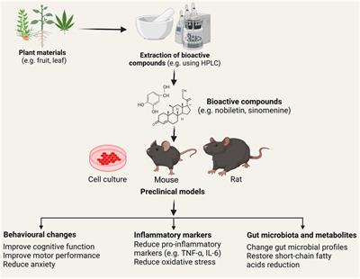 Editorial: Pharmacological approaches towards the resolution of neuroinflammation and neurodegeneration